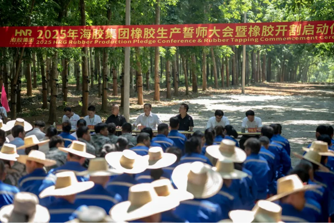 海南橡膠舉行2025年橡膠生產(chǎn)誓師大會(huì)暨開(kāi)割啟動(dòng)儀式